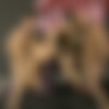[WeAbuseSluts.com] Kitty Von Dolce, Taisa Banx [2010 ., Submission, Rough Sex, Threesome, Oral, Anal, Strapon, Lesbian, Gag, Deepthroat, Humiliation, DVDRip] thumbnail
