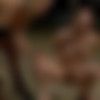 [WhippedAss.com / Kink.com] (218) MegaPack / WhippedAss 2011-2014 [2011,2012,2013,2014 ., Lesbian, BDSM, Domination, Bondage, Fetish, 720p] thumb