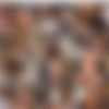 [Onlyfans.com] Trans Giselle Driller (@giselledriller) SiteRip (174 Videos) [1080p] UPDATE thumb