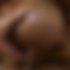 [HuCows.com] Katie Thornton -Nipple Enlargement Training / -    (HuCows.com) [2020-08-22 ., breast training machine, bondage, 1080p, SiteRip] thumb