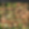 [DorcelClub.com] Tiffany Tatum - Tiffany's garden (03-02-2021) [2021, All Sex, Blonde, Blowjob, Gonzo, Hardcore, Outdoors, Petite, Small Tits, 1080p] thumb