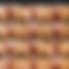 FurryGirl.com Complete Site Rip thumb