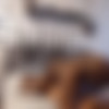 theslutsnextdoor.com - Megan Rae thumb