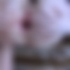 [FERRONETWORK.com / AnalSaga.com]     / Ellen F, Nicholas / g632 (16/08/2012) [2012, Russian, Oral, All Sex, Stockings, Anal, SiteRip, 720p] thumb