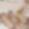 [WowGirls.com] Close Fight [2011 ., All Sex, Blowjob, Blondes, Group Sex, SiteRip] thumb