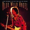 Jimi Hendrix: Blue Wild Angel - Live At The Isle Of Wight [2002] / H264 / MKV / DVD / SD / AC3 thumb