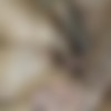 [Oldje.com / ClassMedia.com] Oldje №710 - Naked Valentine - Lana Roy [2019 ., balls-licking, big-dick, close-up, cum-swallow, cunnilingus, deepthroat, doggy-style, missionary, cumshot, old-young, 1080p, WEB-DL] thumb