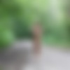 [Nude-in-russia.com] 2019-10-18 Darina - - Naked walk [Exhibitionism] [2700*1800, 49] thumb