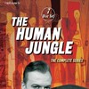 The Human Jungle S01 webrip ac3 divx thumb