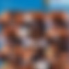 Private Specials 17: Horny Housewives 2 /   2 (Private)[2009 ., MILFs, All Sex, DVDRip][Split Scenes] (Kelly, Tamara, Gina G, Rebecca, Susan, Sam) thumb