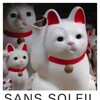 Sans Soleil [1983] / H264 / MKV / Blu-ray / 1080p / AC3 / French / Subs thumb