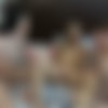 [ATKGirlfriends.com] Hanna Lay & Lara Brookes & Kendall White (Virtual Date 2/3) [2014 ., Threesome FFF, Lesbian, Face Sitting, Orgasm, Masturbation, Hairy, Skinny, Petite, Red Head, Toy, 480p] thumb