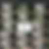 [Hunt4k.com] Hunt4k Siterip as of 03.09.2020 (24 clips) 540p thumb