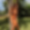 [PhotoDromm.com] 2015-08-23 Dana (aka Dana Harem) - Plein Air 3 [Erotic, Posing, Big Tits, Outdoor, Topless, 720p] thumb