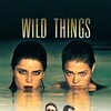 Wild Things [1998] / H265 / MKV / Blu-ray / 2160p / DTS / Subs thumb