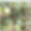 [Watch4Beauty.com] 2014-02-15 Sapphira - Vineyard [Erotic , 720p] thumb