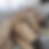 [GapeLand.com / 21Sextury.com] Roxy Bell (Anal training of Roxy Bell / v92096 / 07.09.12) [2012 ., Anal, Natural Tits, Blowjob, Brunette, Cumshot, Facials, Fingering, Gaping, Hardcore, Stockings, 720] thumb