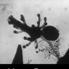 How Some Jellyfish Are Born [1960] / H264 / MKV / DVD / SD / AC3 / French / Subs thumb