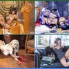 [Patreon.com] Byoru Photosets Pack 2 [Cosplay, Erotic, non-nude, Uniform, Latex, Lingerie, Bikini, Oil] [2270x4032-4666x6995, 2440 , 42+ ] thumbnail