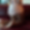 [ATKGirlfriends.com] Lana Rhoades - Virtual Vacation Las Vegas  1-3  3 (lan034)(05.08 / 11.08 / 17.08)[2017 ., Reality, Blowjob, Handjob, Footjob, POV, All sex, Creampie, 1080p] thumb