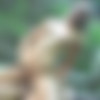 [SilverstoneDVD.COM] Sophie Moon (Sophie Sweet) (  / #03#73#03)        ! [2003 ., Anal, Classic] thumbnail