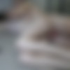 [chaturbate.com] Logan emma 2020-09-07 [2020 ., All Sex,Anal,Blowjob,Doggystyle, 720p, WEB-DL] thumb