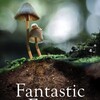 Fantastic Fungi [2019] / H265 / MKV / WEB / 2160p / AC3 / Subs / FLUX thumb