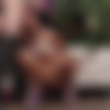 [HookupHotshot] 28-10-2023 - Harley Haze - Episode 346 - Harley Haze Hookup #2 2160p thumb