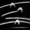 Study No. 6 [1930] / Xvid / AVI / DVD / SD / MP3 / CiNEMAGROTESQUE thumb