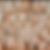[WOWGIRLS.COM] Image siterip, 376 sets [2020, 2021] thumb