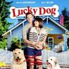 Lucky Dog 2015 1080p WEBRip DDP 2 0 8bit H 265-iVy thumb