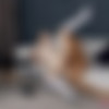 [OnlyTarts.com] Polly Yangs - Stepsis Always Gets What She Wants [2024 ., All Sex, Anal, Hardcore, Natural tits, Straight, Cumshot, Facial, Teen, 1080p] thumb