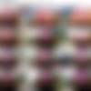 AssAndFurious.com SiteRip thumb