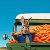 Peter Rabbit 2: The Runaway [2021] / H265 / MKV / Blu-ray / 2160p / True-HD / Subs thumb