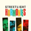 Streetlight Harmonies [2020] / H264 / m2ts / Blu-ray / 1080p / DTS / Subs / MKu thumb