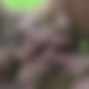 [GANG BANG / PutaLocura.com] Erika Sevilla (Sexo cerdo con su novio y muchas pollas mas! / 17.12.2012) [Natural Tits, Cumshot, Orgy] [720p] thumb