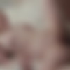 [NewSensations.com] Haley Spades - Bootyful Babysitter Haley Spades Comes In For A Bite [2023-10-28, Blonde, Blowjob, Cowgirl, Deep Throat, Facial, Interracial, Teen, 2160p, SiteRip] thumb