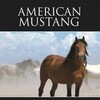 American Mustang 2013 1080p BluRay x264-OFT thumb