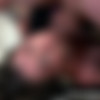 [FacialAbuse] Shame Is Pleasure [1080p|MP4] *2025-03-05* thumb