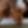 [GirlsDoPorn.com] 22 Years Old - E384 - 4K thumbnail