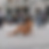 [NIP-Activity.com] Siterip UPDATE (269 ) [2017 - 2020, Exhibitionism, Nude In Public, Public Nudity, Outdoor, Walking, 1080p] thumb