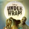 Under Wraps 2021 1080p AMZN WEBRip DDP 5 1 x265-edge2020 thumb