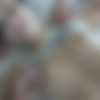 [ATKGirlfriends.com] Gia Paige (Las Vegas 3/3) [2016 ., Creampie, POV, Blowjob, Handjob, Footjob, Cunnilingus, All sex, 480p] thumb