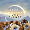 Sir David Attenborough Seven Worlds One Planet 2019 BDRip x264-HAGGiS thumb