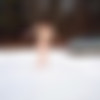 [Nude-in-russia.com] 2025-02-01 Veronika - New Girl - REFINED Feel the snow [Exhibitionism, Posing, Teen] [2700*1800, 44 ] thumb