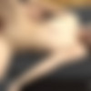 [ClubSeventeen.com] 2018-09-10 Casey I - Hot Casey loves riding cock [All Sex, Blowjob, Facial, 1080p] thumb