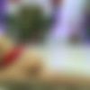 [Stunning18.com] 2015-12-25 Jill - Maza - Happy New Year! [2015 ., Solo, Posing, 1080p] thumb