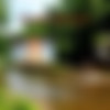 [MudPuddleVisuals.com / MPV] Mud Trippers Seven /  7 [2011 ., mud trippers, mud puddle, wam messy, leasbian, masturbate, DVD] thumbnail