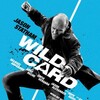 Wild Card 2015 1080p ROKU WEB-DL DD 5 1 H 264-PiRaTeS thumb