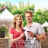 Summer in the Vineyard 2017 1080p AMZN WEB-DL DDP 2 0 H 264-EDGE2020 thumb